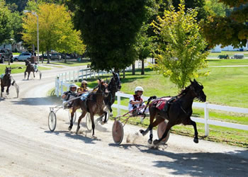 Fair Week - Harriosn County Fair