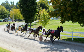 Harness Racing - Harrison County Fair